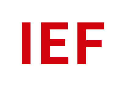 IEF轴承